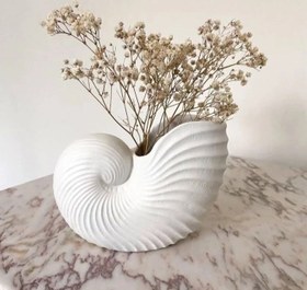 تصویر گلدان صدف 