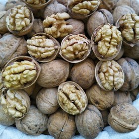 تصویر گردو اقلید استان فارس امساله 1 کیلویی(مغز سفید،پرچرب،درشت) 