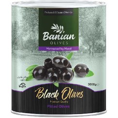 تصویر زیتون سیاه بی هسته قوطی 3 کیلوگرمی بانیان 