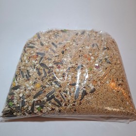 تصویر دون مخلوط عروس هلندی و کوتوله 