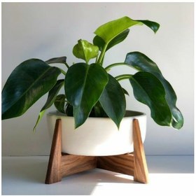 تصویر پایه گلدان چوبی 001 