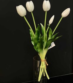 تصویر گل لاله 