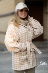 تصویر شکت پیردوپل 