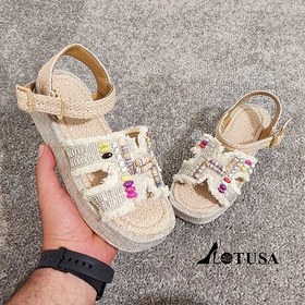 تصویر صندل هرمس هندی 