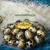 تصویر ظرف ۱۸ عددی تخم بلدرچین 