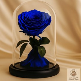 تصویر Timeless Beauty: Forever Blue Rose Glass Dome | کد: ZNB-1H4I 