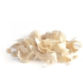 تصویر کتیرا گل 