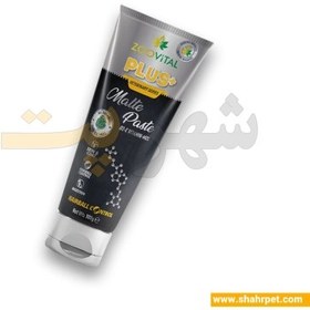 تصویر خمیر مالت گربه زوویتال Zoovital Malte Paste For Cats