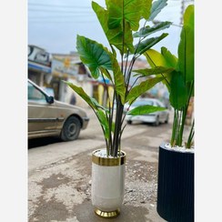 تصویر درختچه مصنوعی بابا آدم قد ۱۵۰ سانتی‌متر 