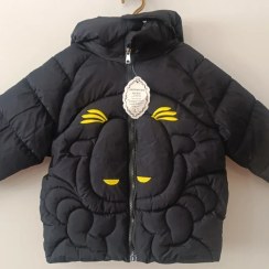 تصویر کاپشن پسرانه داخل پشم مناسب برای سه تا پنج سال - XL / سبز پاستیلی 