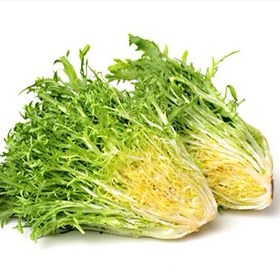 تصویر بذر کاسنی سبز 100 عددی 