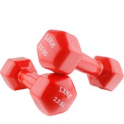 تصویر دمبل ۳ کیلویی لاین 