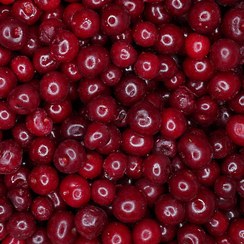 تصویر آلبالو فله منجمد 