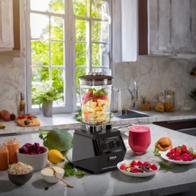 تصویر مخلوط کن حرفه ای عرشیا مدل BL050-3251 Arshia 2L Pro Blender BL050-3251