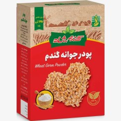 تصویر پودر جوانه گندم شاد (شرکتی) 