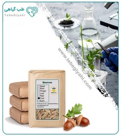 تصویر مغز بلوط خشک فله 