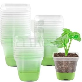 تصویر گلدان نشا سیلیکونی 