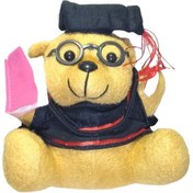 تصویر عروسک خرس عینکی 40 سانتی | خرید ارزان عروسک خرس درسخون عینکی با کتاب و کلاه فارغ التحصیلی دانشگاه 