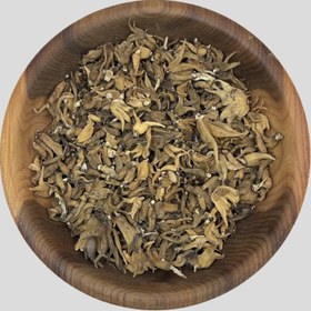 تصویر ثعلب پنجه 