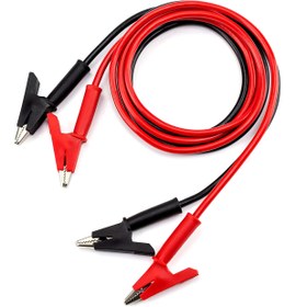 تصویر پراب دو سر سوسماری 