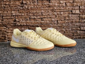 تصویر کفش فوتسال نایک لونارگتو Nike Lunar Gato 