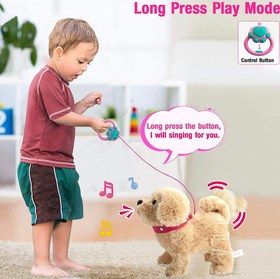 تصویر اسباب بازی سگ کنترلی سخنگو و موزیکال قهوه ای Pet Play Set Toys HULASO Electronic Plush Puppy Pet Dog Toy for Kids Interactive Plush Toy Walking Talking Barking Singing Tail Wagging Dog Repeat What You Said Gift for Kids 4-8