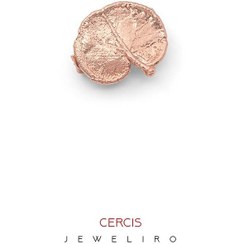 تصویر گل سینه برگ ارغوان کد JL.JBC.03136 