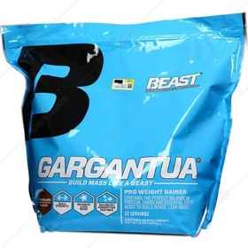 تصویر گینر گارگانچوا ۴۷۶۰ گرم 