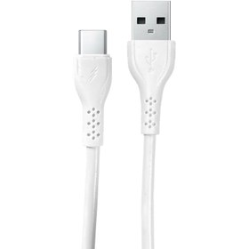 تصویر کابل تبدیل USB به USB-C شوش مدل SH402C طول 1.1 متر 