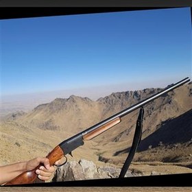 تصویر تفنگ شکاری ارش 