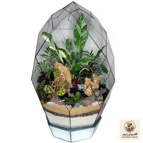 تصویر گیاه طبیعی تراریوم مدل رویال | کد: ZNB-58S 