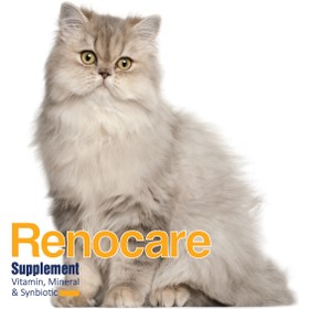 تصویر پودر مکمل سیستم ادراری گربه مدل Renocare وزن 400 گرم 