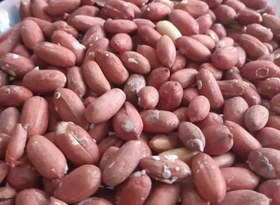 تصویر مغز بادام زمینی آستانه درجه یک Peanuts