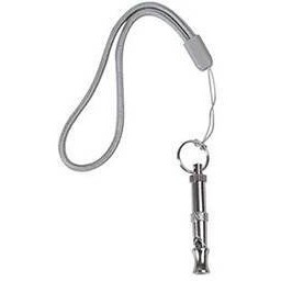 تصویر سوت آموزشی 