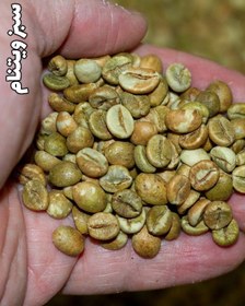 تصویر قهوه سبز ویتنام 