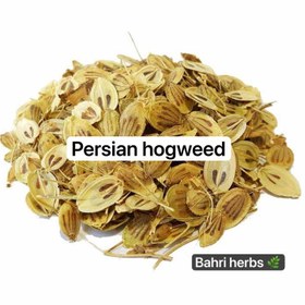 تصویر گلپر ارگانیک 75 گرمی 