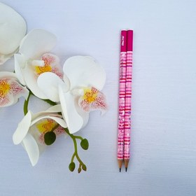 تصویر مداد مشکی فکتیس 