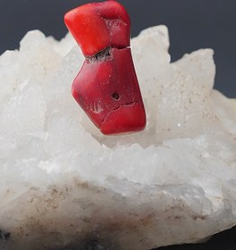 تصویر سنگ طبیعی مرجان سرخ 