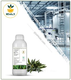 تصویر طعم دهنده برگ بو خوراکی 