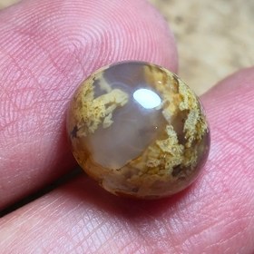 تصویر عقیق شجر زیبا خاص 