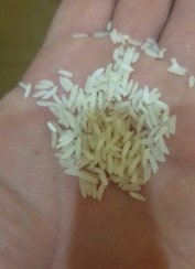 تصویر برنج فجر  گلستان خوش عطر و بو کیسه ده کیلویی 