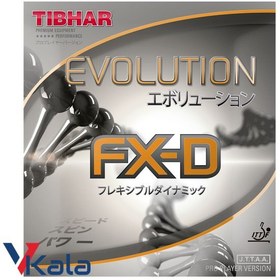 تصویر رویه راکت پینگ پنگ تیبهار EVOLUTION FX-D 