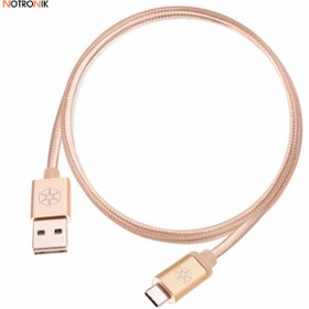 تصویر کابل تبدیل USB به USB-C سیلوراستون مدل CPU04 طول 1 متر 