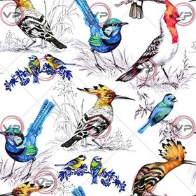 تصویر پترن پرندگان 
