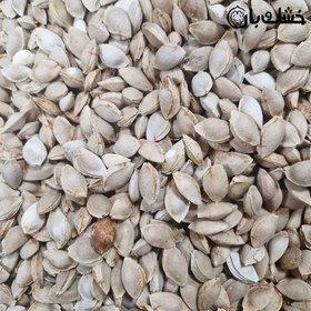 تصویر هسته زرد آلو 