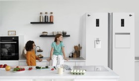 تصویر یخچال فریزر دوقلو کلور 40 فوت مدل گلوری پلاس Glory plus stainless steel twin 40 feet refrigerator freezer