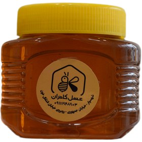 تصویر عسل گون شیرتیزه-500 گرم 