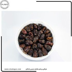 تصویر خرما کبکاب سطلی علوی 