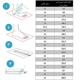 تصویر اسکیت آموزشی نیمه حرفه ای فلایینگ ایگل مدل FBS+ - سفید / 41-42 Flying Eagle FBS+