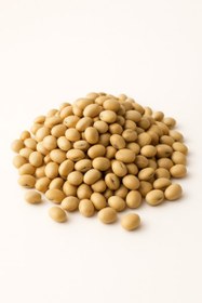 تصویر آجیل سویا 